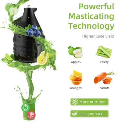 Elite Cold Press Juicer 130mm 2026